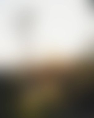 Abstract blur background of colors mixed