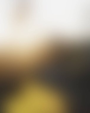 Abstract blur background of colors mixed