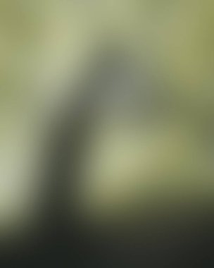 Abstract blur background of colors mixed