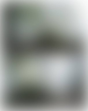 Abstract blur background of colors mixed