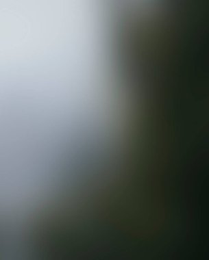 Abstract blur background of colors mixed