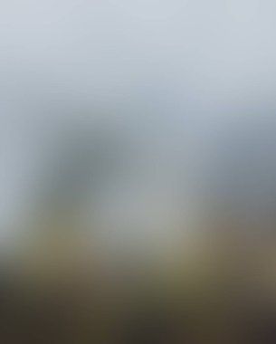 Abstract blur background of colors mixed