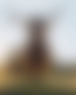 Abstract blur background of colors mixed