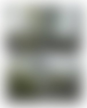 Abstract blur background of colors mixed