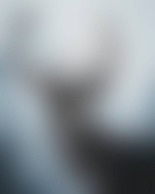 Abstract blur background of colors mixed