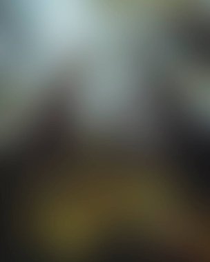 Abstract blur background of colors mixed