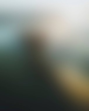 Abstract blur background of colors mixed