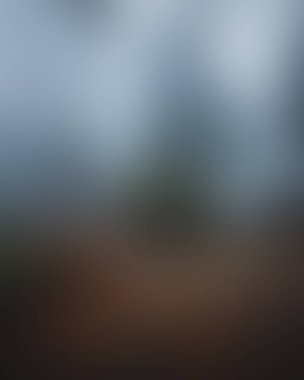 Abstract blur background of colors mixed