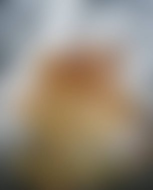 Abstract blur background of colors mixed