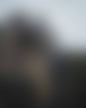 Abstract blur background of colors mixed