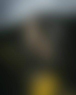 Abstract blur background of colors mixed