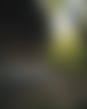 Abstract blur background of colors mixed