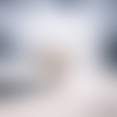 Abstract blur background of colors mixed