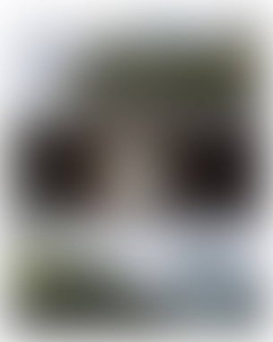 Abstract blur background of colors mixed