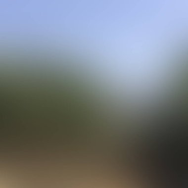 Abstract blur background of colors mixed