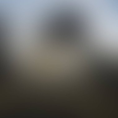 Abstract blur background of colors mixed