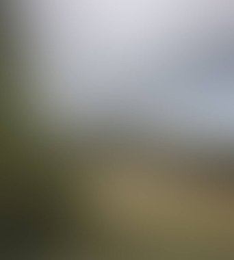 Abstract blur background of colors mixed