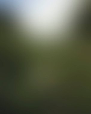 Abstract blur background of colors mixed