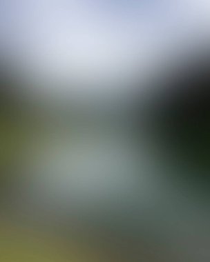 Abstract blur background of colors mixed