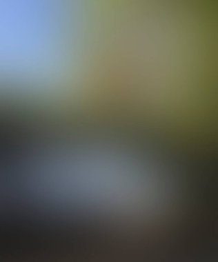 Abstract blur background of colors mixed