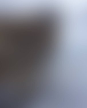 Abstract blur background of colors mixed