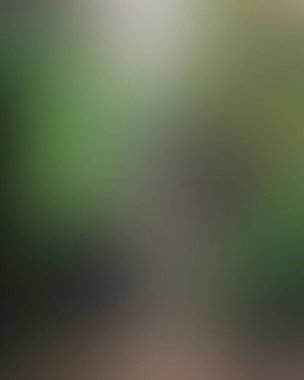 Abstract blur background of colors mixed