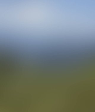 Abstract blur background of colors mixed