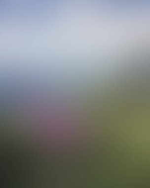 Abstract blur background of colors mixed