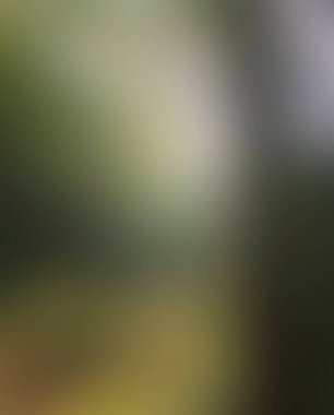 Abstract blur background of colors mixed