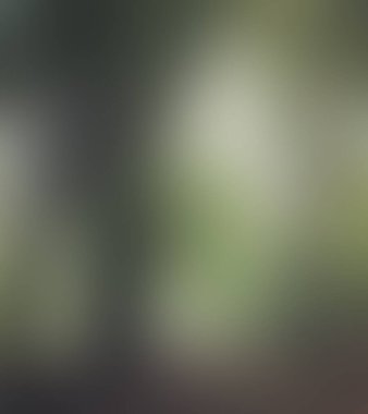 Abstract blur background of colors mixed