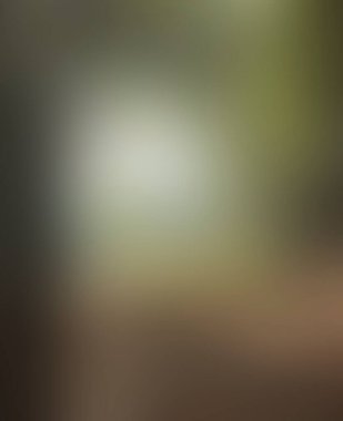 Abstract blur background of colors mixed