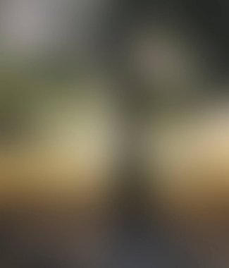 Abstract blur background of colors mixed