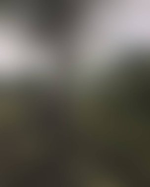 Abstract blur background of colors mixed