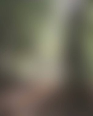 Abstract blur background of colors mixed