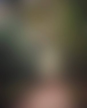 Abstract blur background of colors mixed