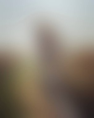 Abstract blur background of colors mixed