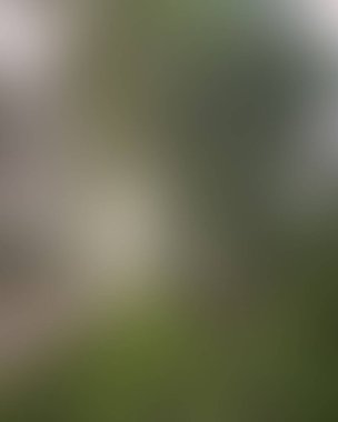 Abstract blur background of colors mixed