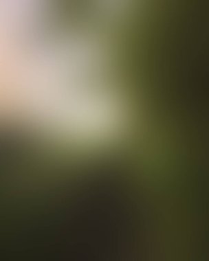 Abstract blur background of colors mixed