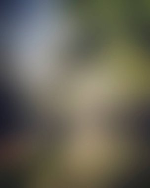 Abstract blur background of colors mixed