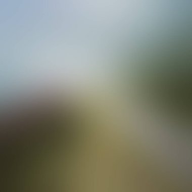 Abstract blur background of colors mixed