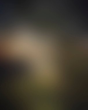 Abstract blur background of colors mixed