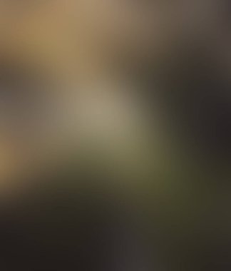 Abstract blur background of colors mixed