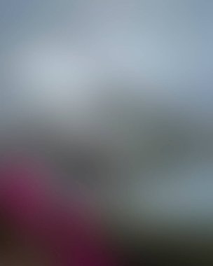 Abstract blur background of colors mixed