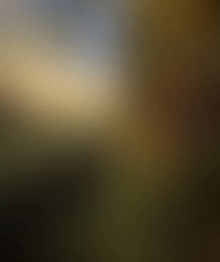 Abstract blur background of colors mixed