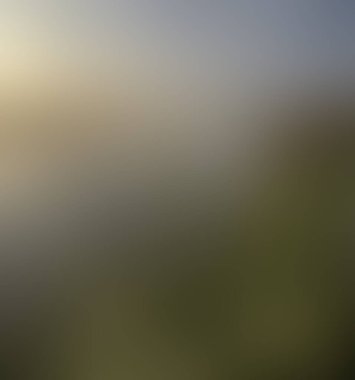 Abstract blur background of colors mixed