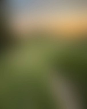 Abstract blur background of colors mixed