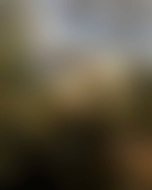 Abstract blur background of colors mixed