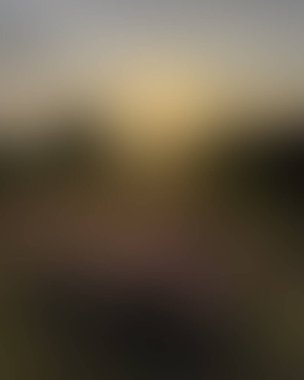 Abstract blur background of colors mixed