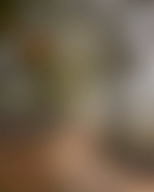 Abstract blur background of colors mixed