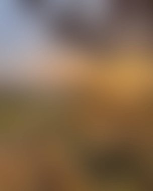 Abstract blur background of colors mixed